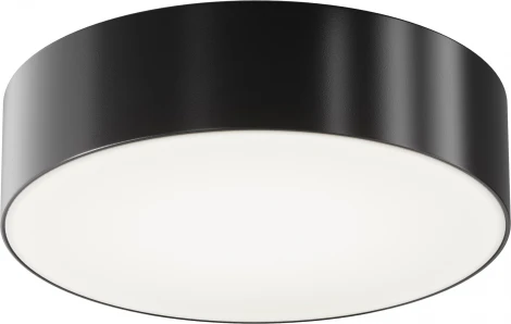 Потолочный светильник уличный Maytoni Zon IP O431CL-L30B4K (LED, 220V)