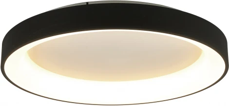 Потолочный светильник круглый Mantra Niseko 8581 (регулировка яркости, LED, 220V, пульт управления, круглые)