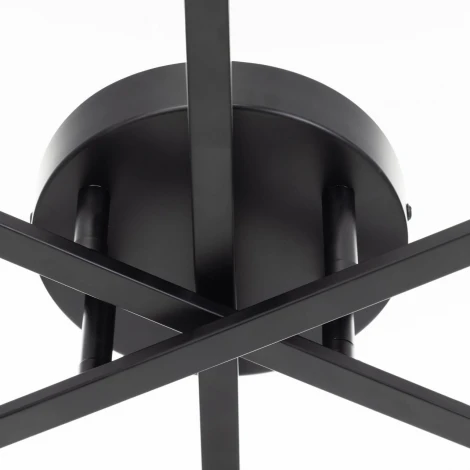 Потолочная люстра Citilux Glob CL209261