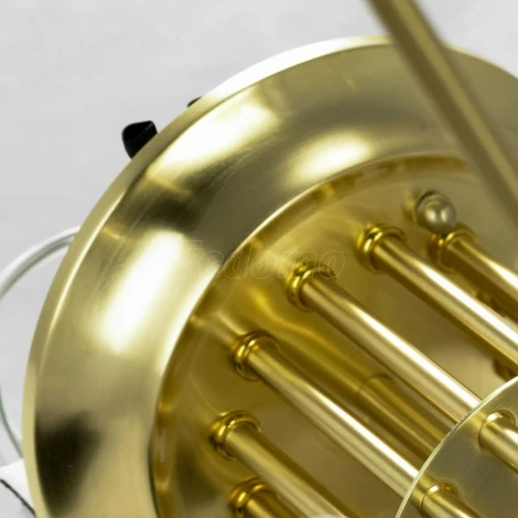 Потолочная люстра Lussole Lgo Pinal LSP-8124