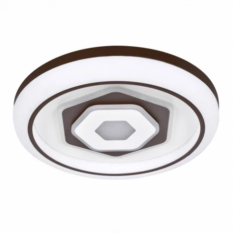 Потолочный светильник F-Promo Lamellar 2456-5C