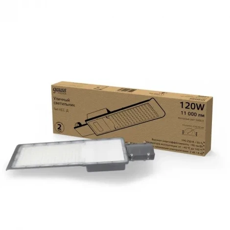 Уличный консольный светильник Gauss Avenue 629536320 (LED, 220V, IP65)