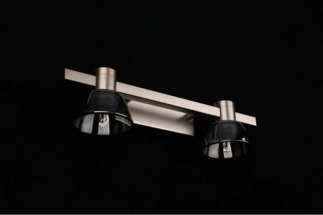 Настенный светильник Aployt Rezeda APL.788.01.02 (LED, 220V)