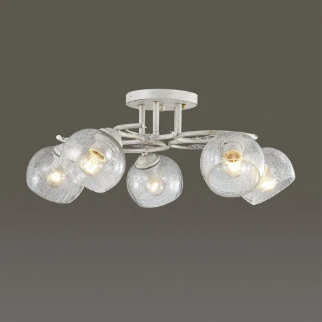 Потолочная люстра Lumion Clodina 3116/5C