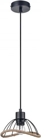 Подвесной светильник Vele Luce Formula VL6482P01