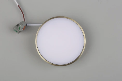 Потолочный светильник круглый Aployt Evon APL.0113.29.12 (LED, 220V, круглые)