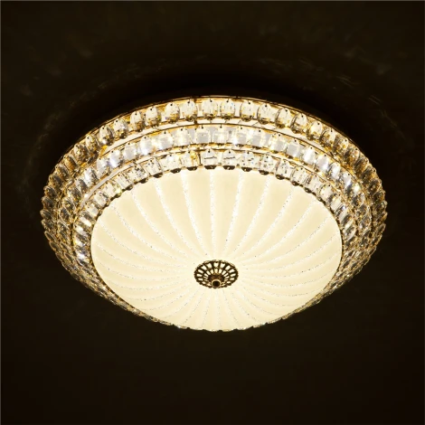 Потолочный светильник светодиодный с пультом с регулировкой цветовой температуры и яркости LED4U LED4U L1101-450 GD