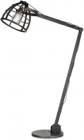 Торшер Lussole Loft Matanuska LSP-0513