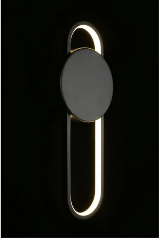 Настенный светильник LED Aployt Francesco APL.347.01.18 (220V)