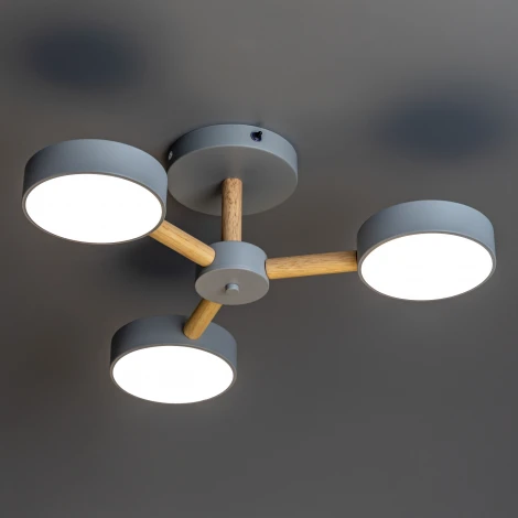 Потолочная люстра светодиодная на штанге с ДУ Ritter Scandia 51590 0