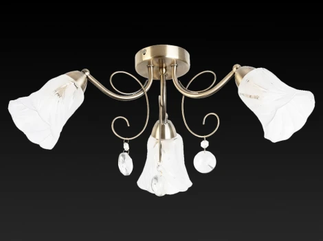 Потолочная люстра Toplight Charla TL7100X-03AB
