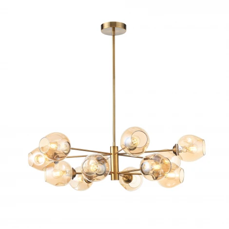 Потолочная люстра на штанге ST Luce Fovia SL1500.203.12 (220V, молекулы)