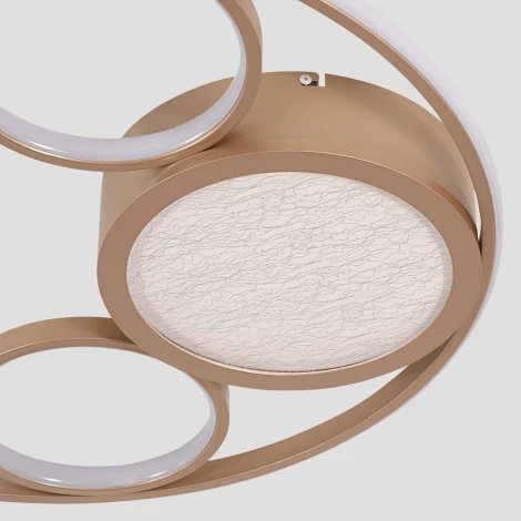 Потолочный светильник круглый F-Promo Campus 4681-4C (LED, 220V)