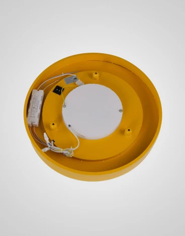 Настенно-потолочный светильник Мелодия Света CW1L 000023441