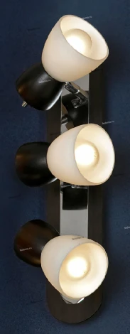 Настенно-потолочный светильник Lussole Messina LSL-8201-03