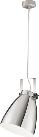 Подвесной светильник Arte Lamp Studio A8606SP-1CC