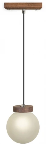 Подвесной светильник Мелодия Света PS1N 6426N-1P PR 000067481