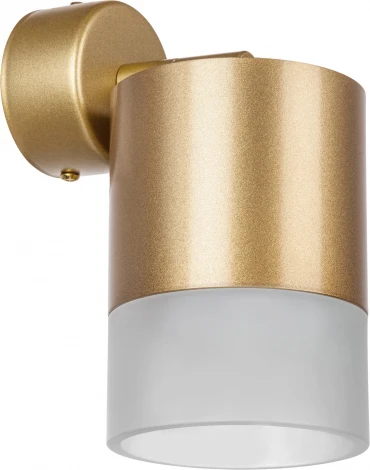 Спот Lightstar Rullo RBX349081 (220V)