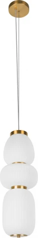Подвесной светильник Loft It Duff 10422/C (LED, 220V, на тросе, круглые)