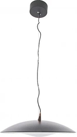 Подвесной светильник светодиодный Mizi'en Candor MZ46212B (220V, на тросе)