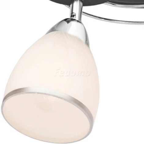 Потолочная люстра Silver Light Austerity 245.59.3