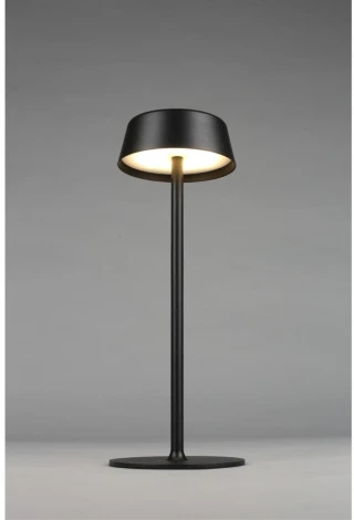 Настольная лампа светодиодная Omnilux OML-40504-01 (220V, гриб)