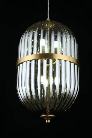 Подвесной светильник Aployt Ludovica APL.860.06.06 (220V, на проводе, круглые)