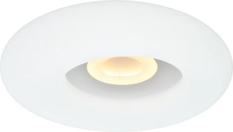 Настенно-потолочный светильник Мелодия Света CW1L 000025644