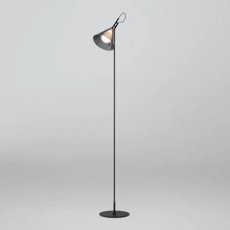 Торшер Eurosvet Enigma 01187/1