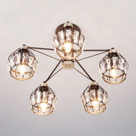 Потолочная люстра Eurosvet Lord 70075/5 черный (220V)