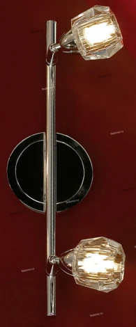 Настенно-потолочный светильник Lussole Atripalda LSQ-2001-02