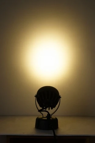 Грунтовый светильник Oasis Light W77169