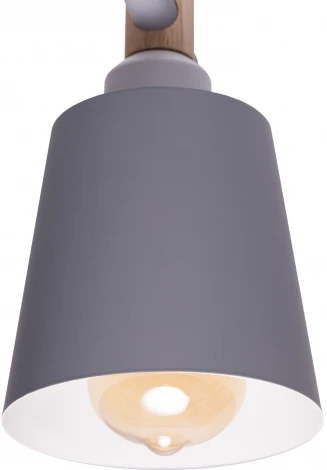 Потолочная люстра на штанге Ritter Volante 52444 1