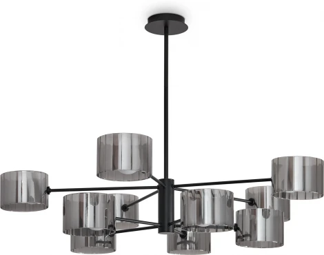 Потолочная люстра на штанге Freya Flight FR5544CL-10B (220V)