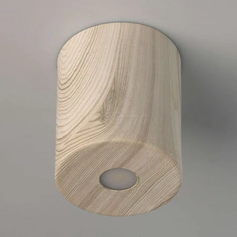 Потолочный светильник круглый DeMarkt Иланг 712010801 (LED, 220V)