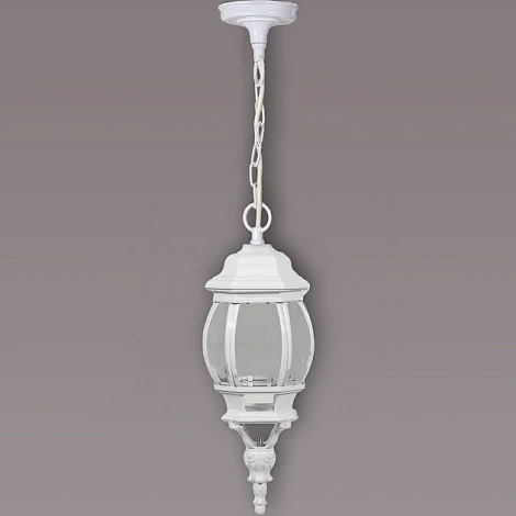 Уличный светильник подвесной Oasis Light 83405S W
