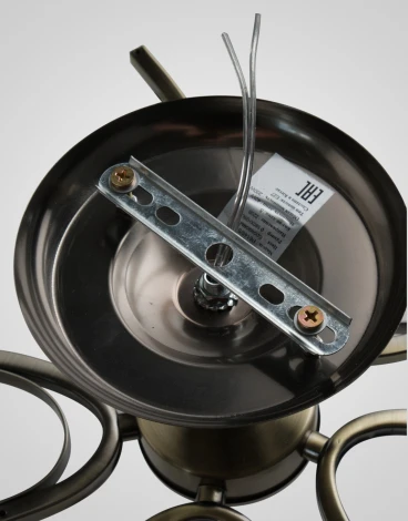 Потолочная люстра на штанге Мелодия Света SS1N 000023543