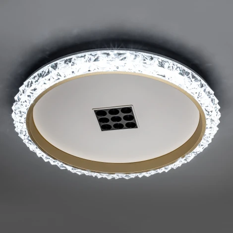 Потолочная люстра светодиодная с ДУ Ritter Galassia 51578 8