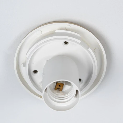 Настенно-потолочный светильник Citilux Ron CL941D20B2