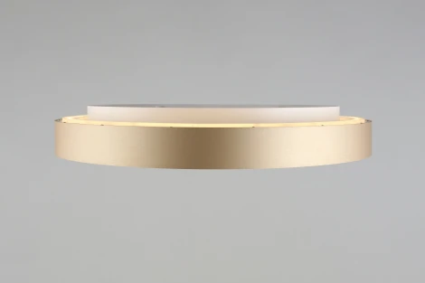 Потолочный светильник Virzhini APL.023.07.68