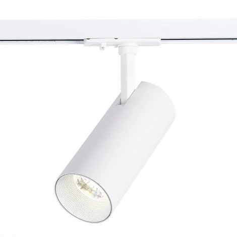 Трековый светильник ST Luce Mono ST350.546.20.36 (LED, 220V, круглые, IP22)