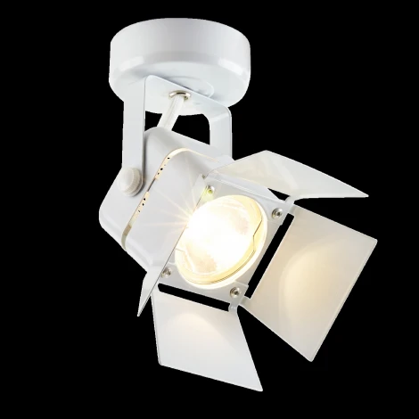 Спот Imex IL.0005.0315 (220V)