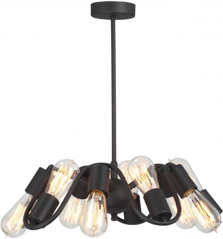 Потолочная люстра на штанге Vitaluce V4005-1/10PL (220V)