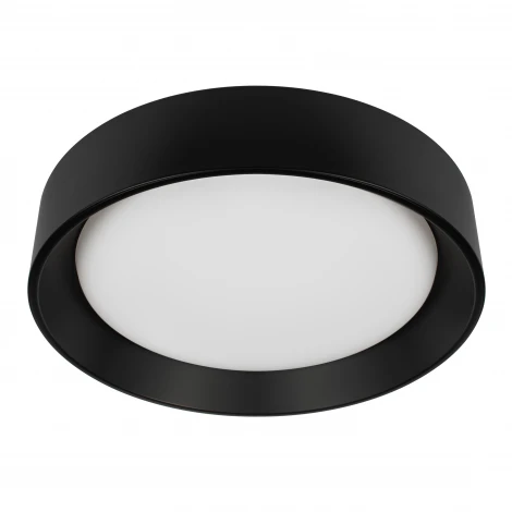 Потолочный светильник светодиодные Loft It Coin 10202 BB