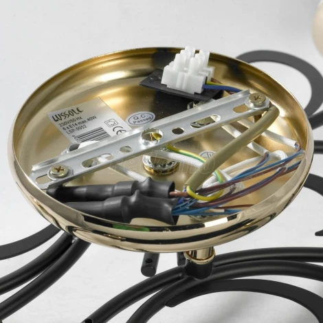 Потолочная люстра Lussole Lgo Oakland GRLSP-9952