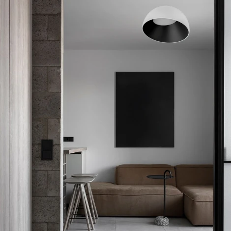 Потолочный светильник светодиодные Loft It Egg 10197/500 WB