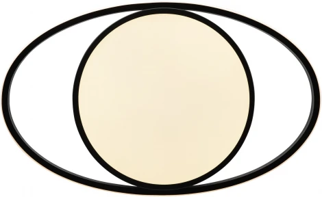 Потолочная люстра Freya Cosmic FR10015CL-L62B