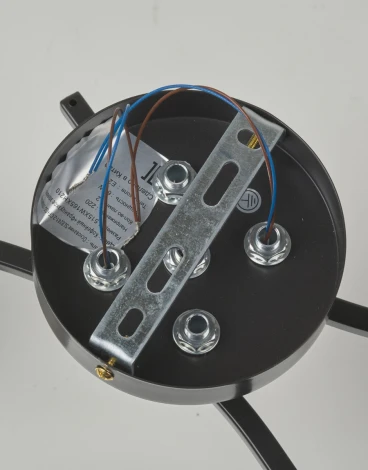 Потолочная люстра на штанге SL8241-2 CF+GD Мелодия Света SL1N 000065848