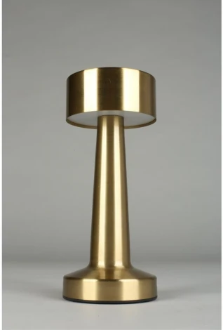 Настольная лампа светодиодная с выключателем Aployt Perrayn APL.671.04.01 (220V, круглые)