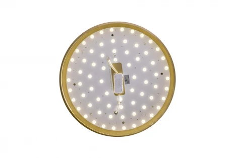 Потолочный светильник круглый со спотами Zortes Gabby ZRS.90610.50 (LED, 220V, круглые)